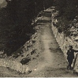 Waldweg_1911